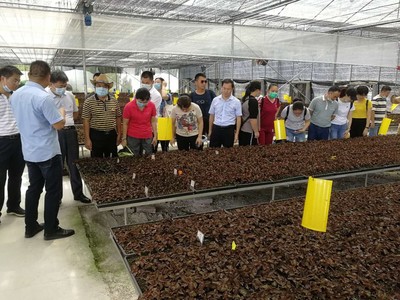 惠州市农业农村综合服务中心来梅调研农业产业发展